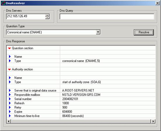 DNS lookup